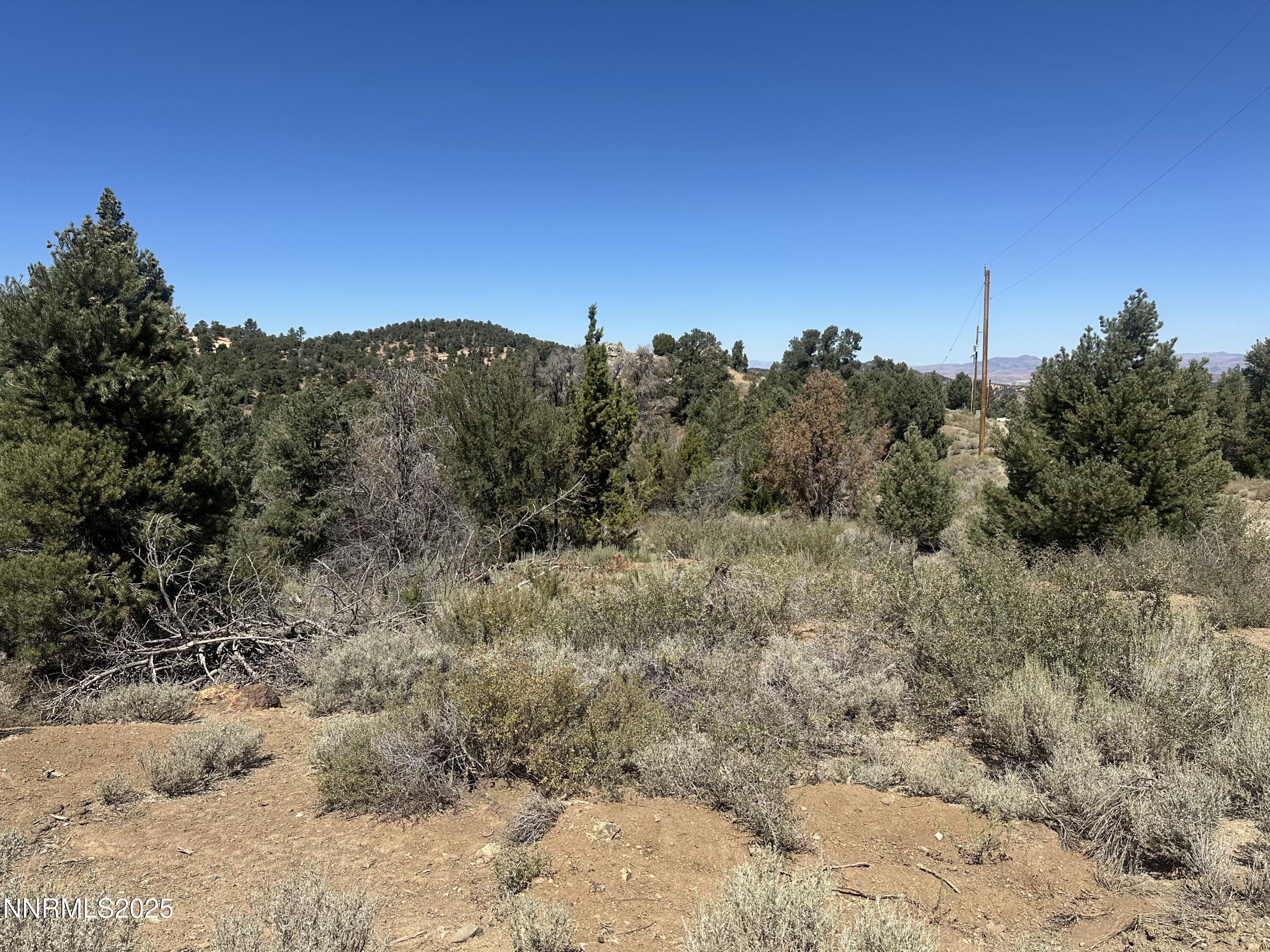 Image 2: Bonanza 3