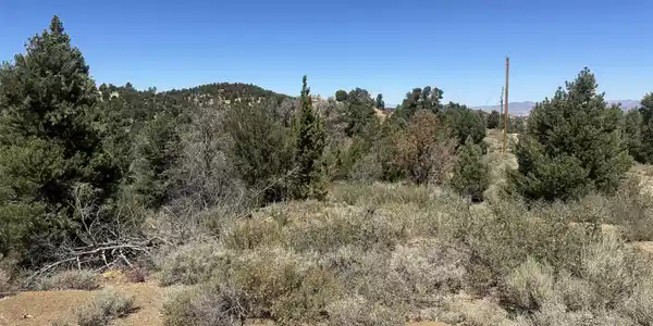 Image 2: Bonanza 3