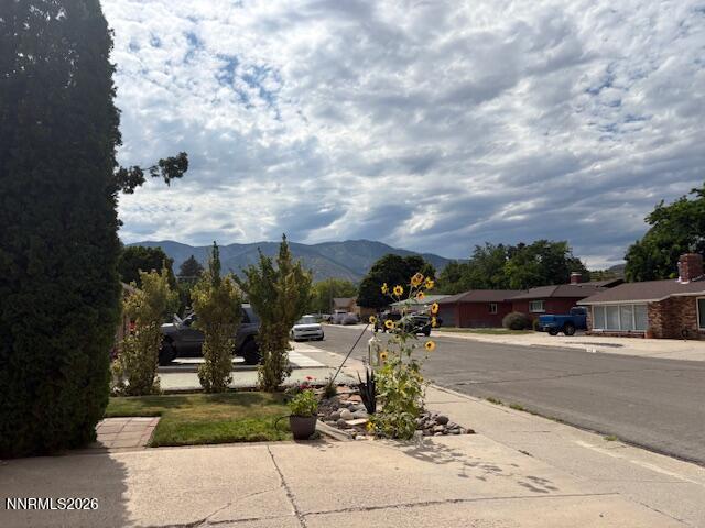 Image 3: IMG_2986