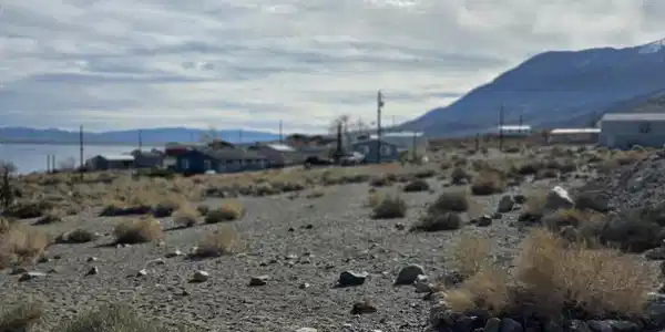 Image 3: 20173