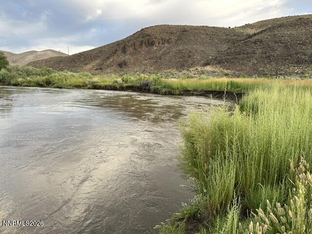 Image 2: IMG_0536