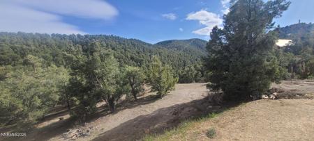 21685 Palamino Road