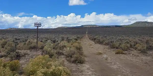 Image 2: 120 acres Gerlach3
