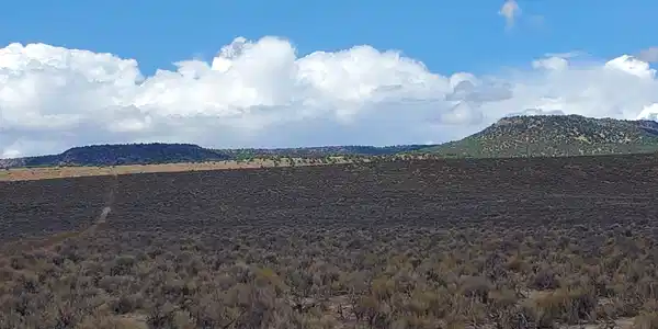 Image 3: 120 acres Gerlach4