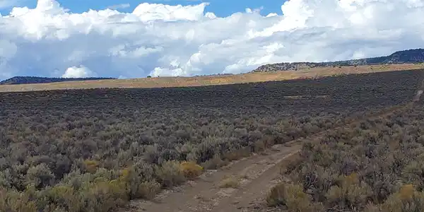 Image 4: 120 acres Gerlach5