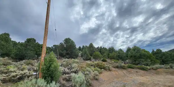 21915 Panhandle Road