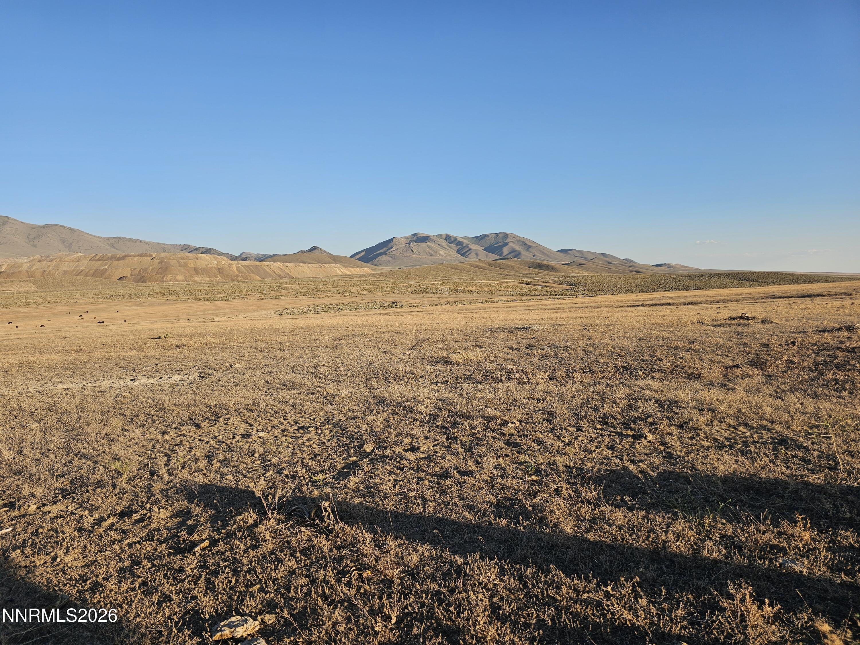 Image 4: 20250712_191848