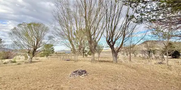 Image 3: Phyllis front yard