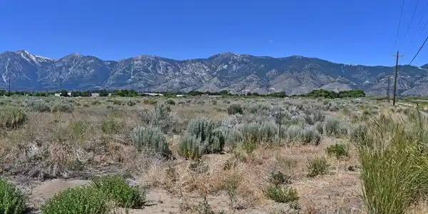 Image 2: wass commercial west view from NE corner