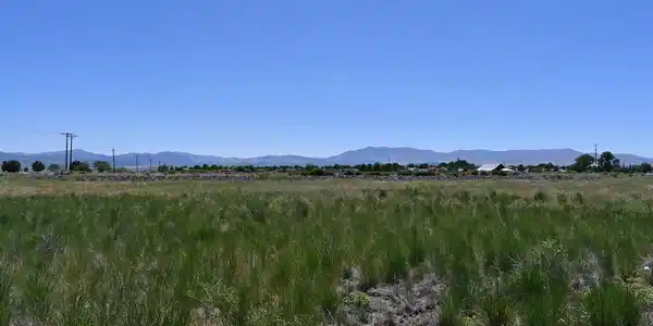 Image 3: wass commercial east view from 395