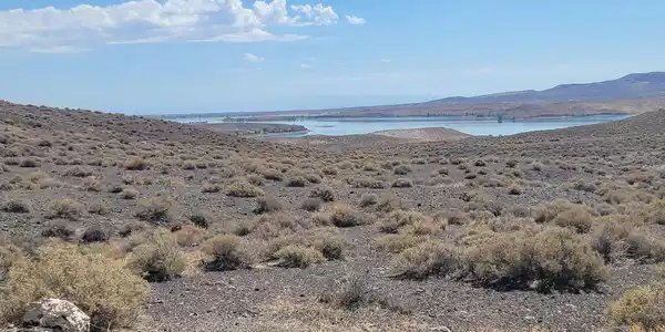 Image 3: 20260715_105908