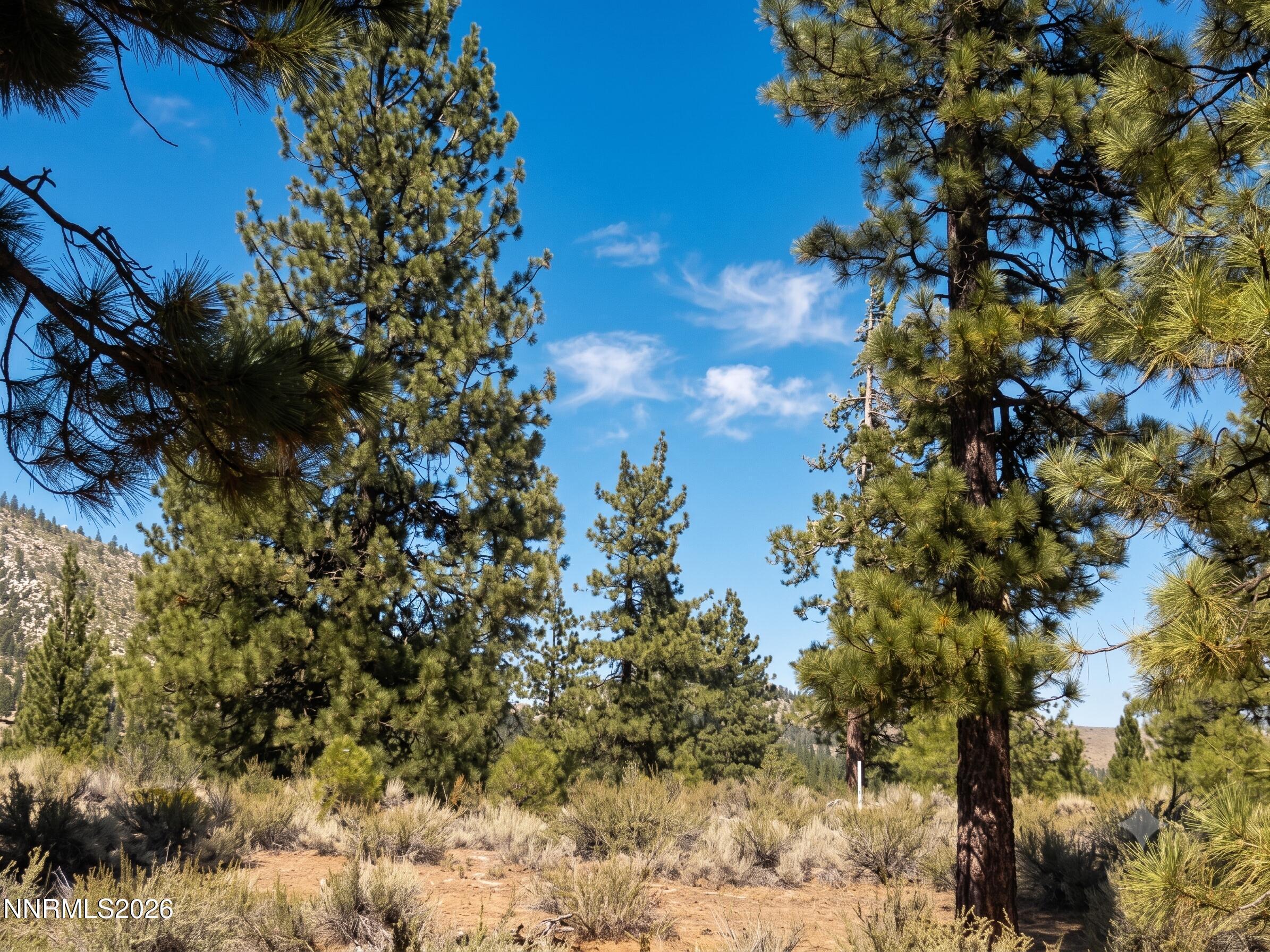 Image 2: Homesite 189