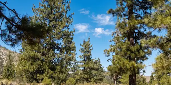 Image 2: Homesite 189