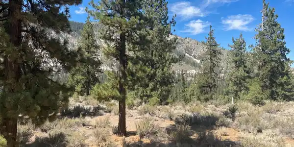 Image 3: Homesite 189