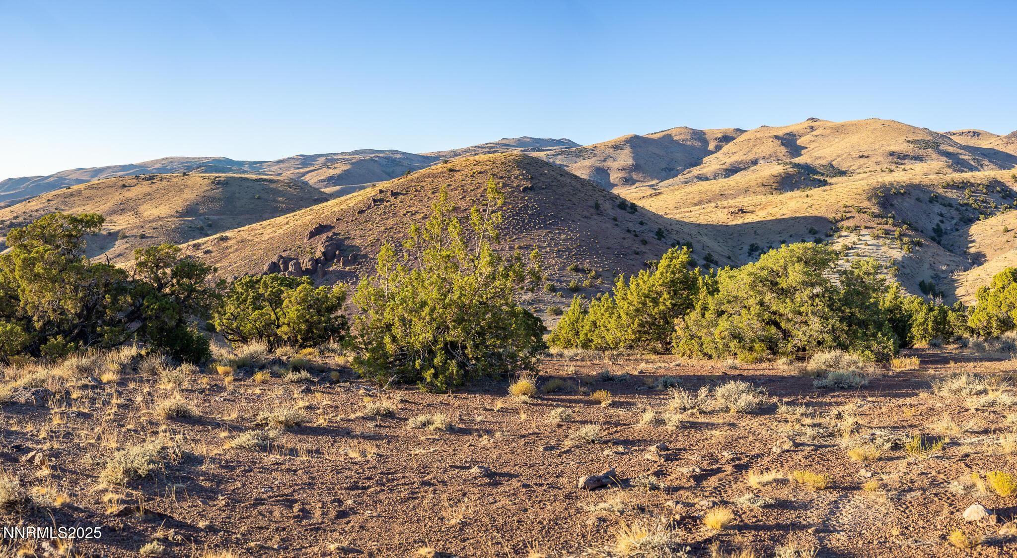 Image 4: 7B3A8036-Pano