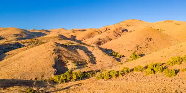 Image 4: DJI_0293-HDR