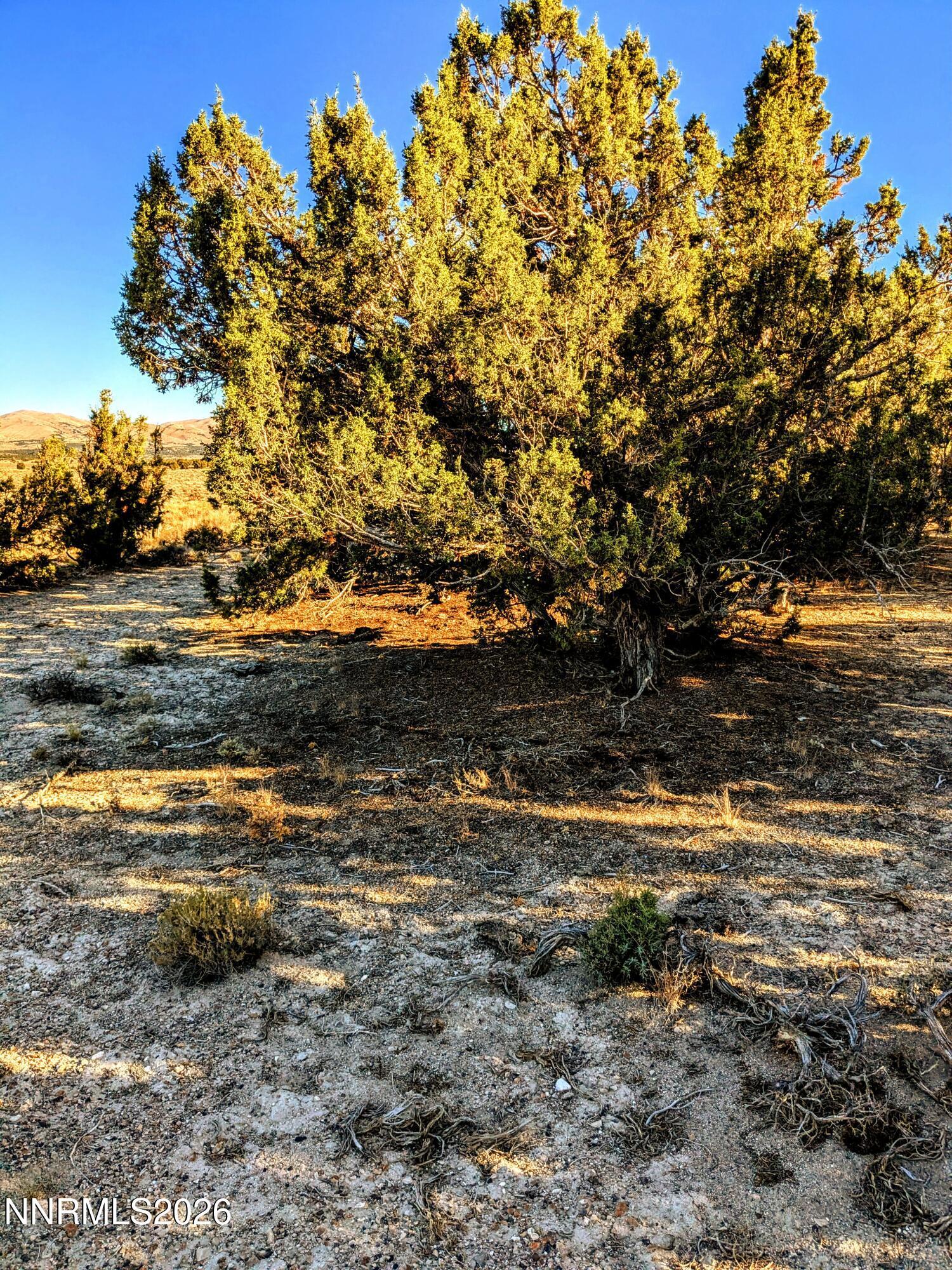 Image 2: 2) 67206-697a3b0fc53a3