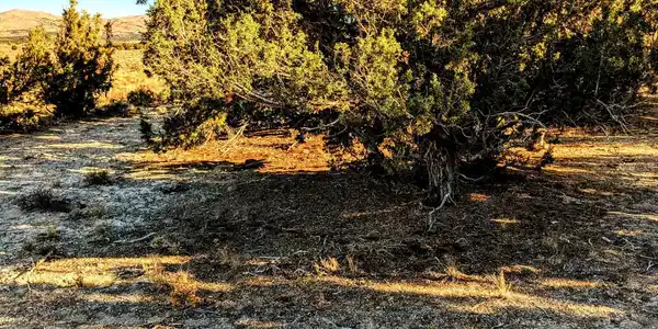 Image 2: 2) 67206-697a3b0fc53a3