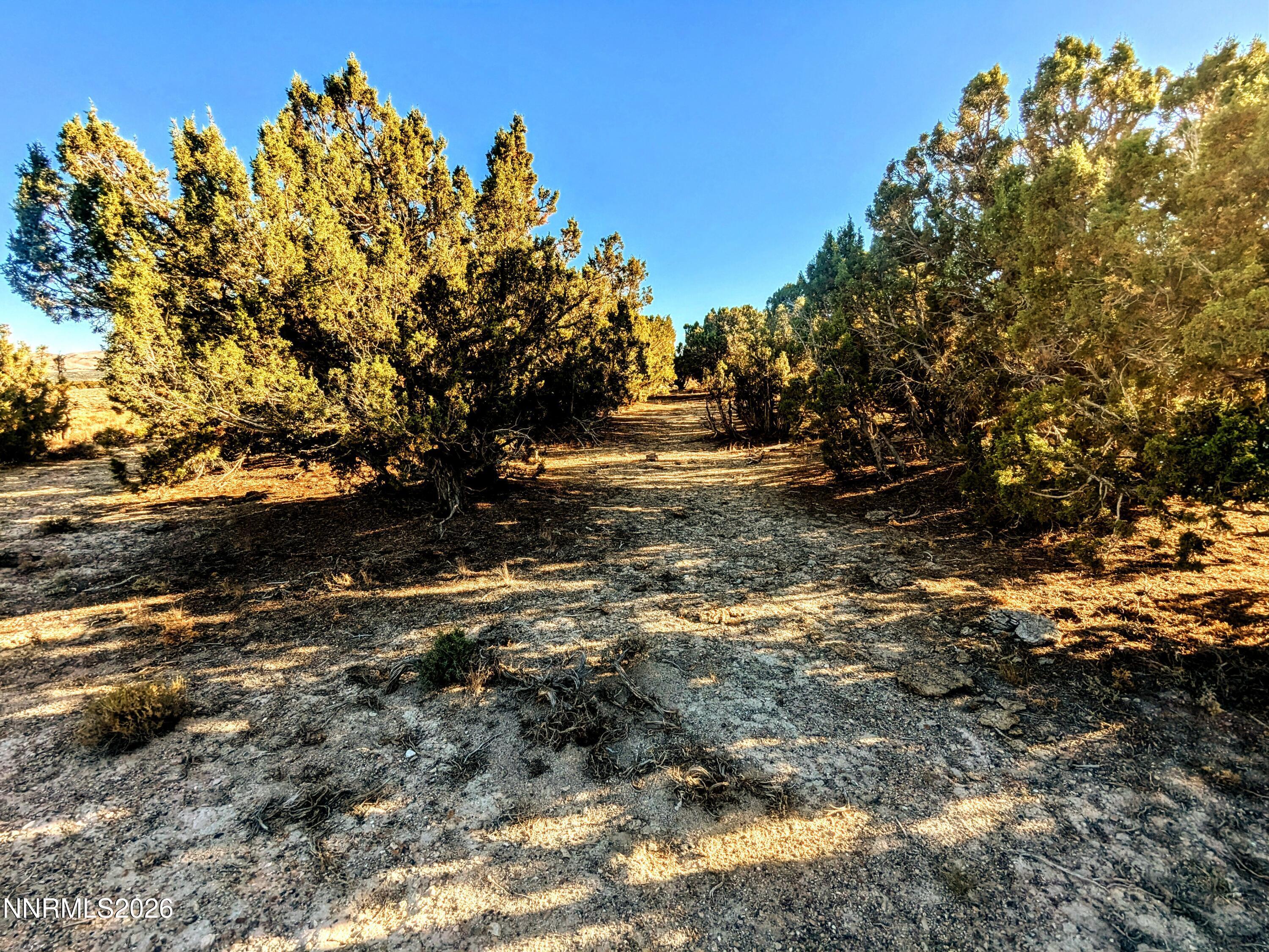 Image 3: 3) 67206-697a3b13e026c