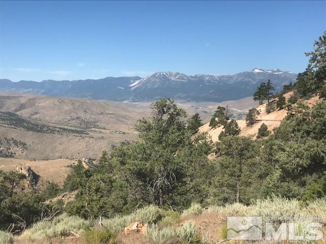 Image 3: Photo 3