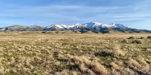 000834014 Near Frontage Road