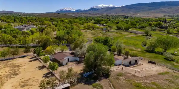 915 Maple Creek Court