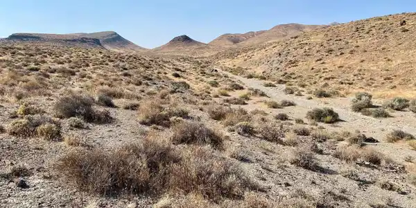 00396001 Trinity Range