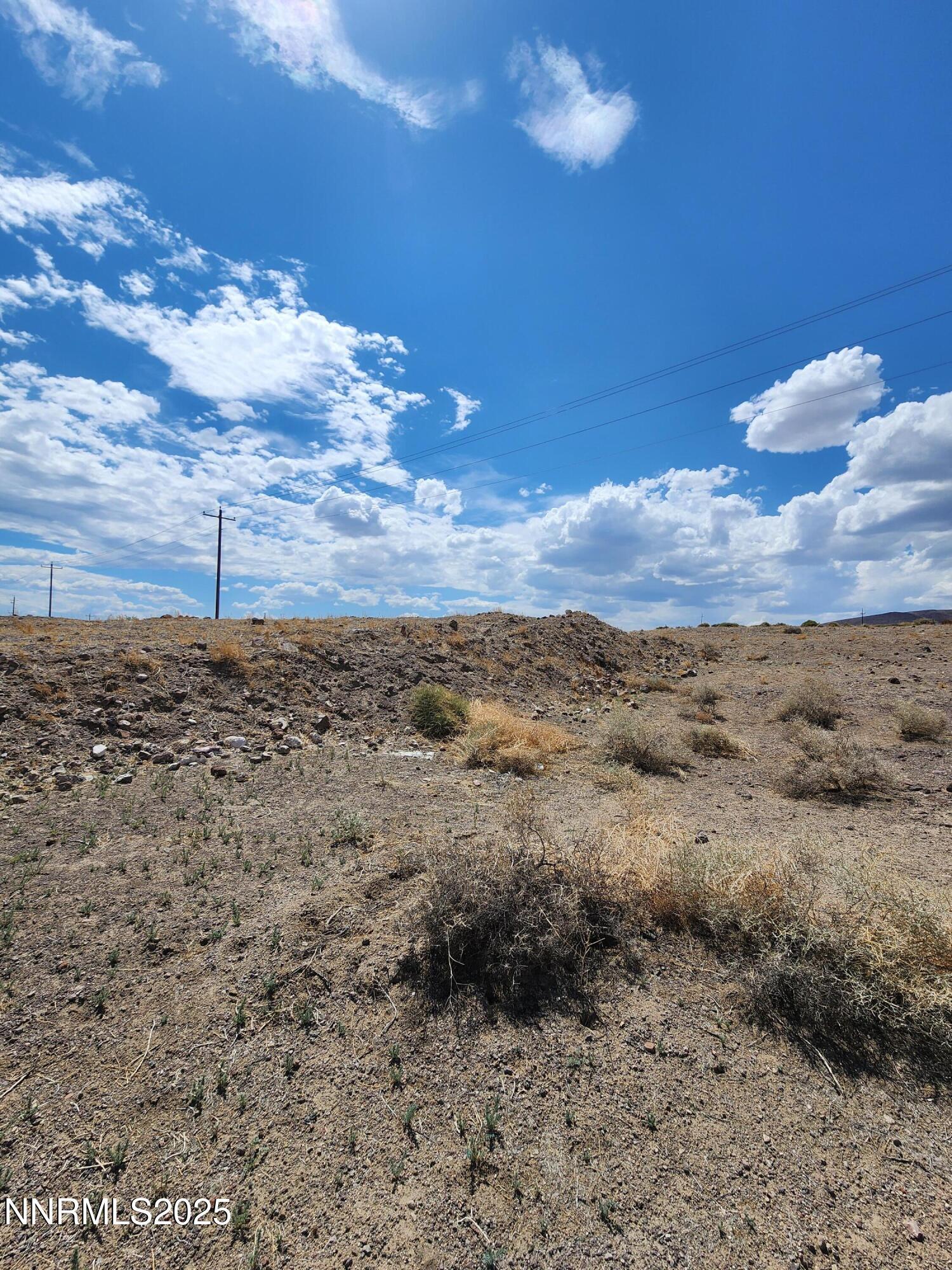 Image 3: 20250609_145022