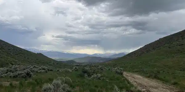 Image 3: Photo 3