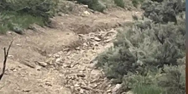Image 4: Photo 8