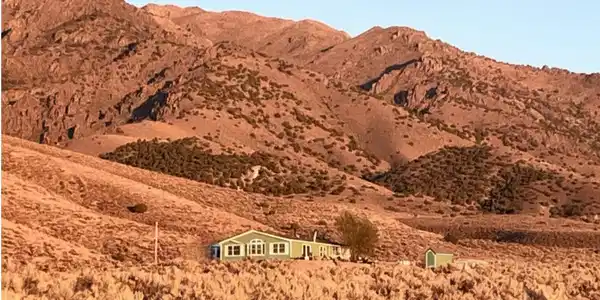 Image 3: green house 2