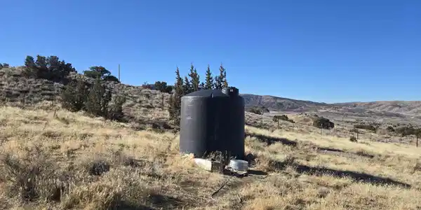 Image 3: 5150 Twin Springs 3