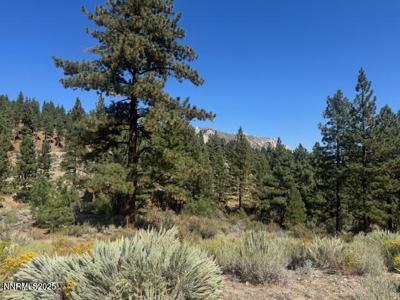 3521 Cutoff Trail