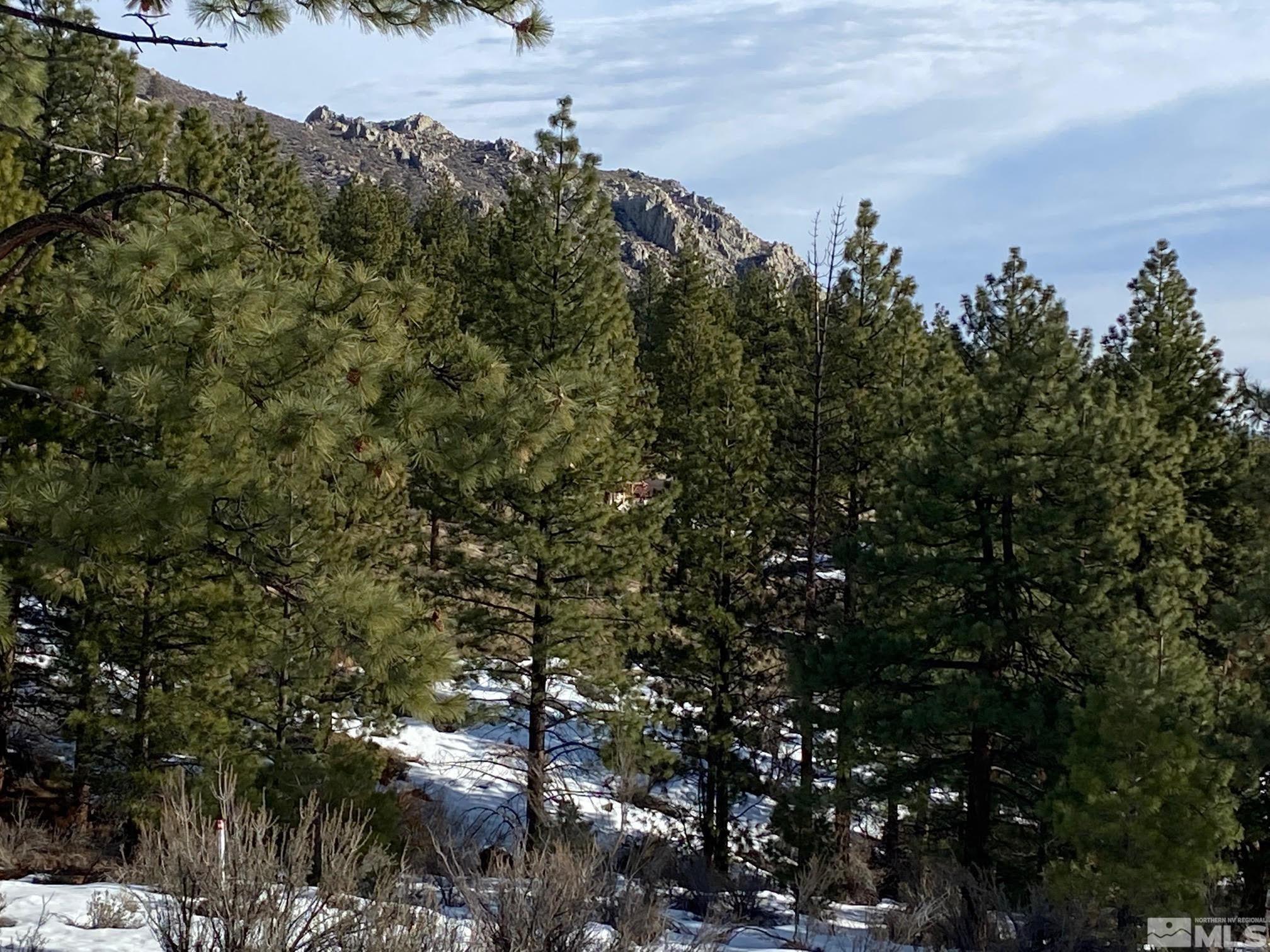 Image 3: Photo 3