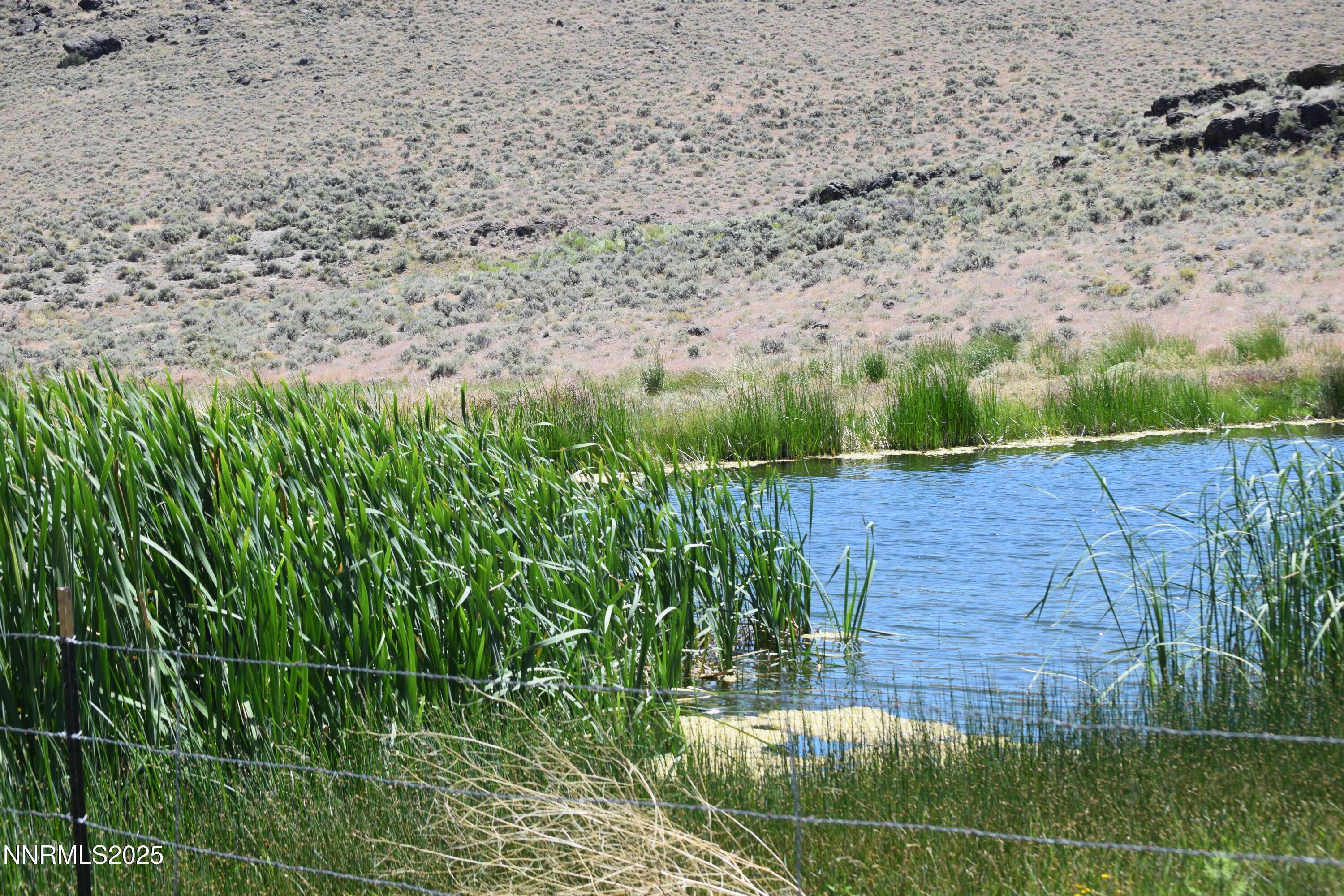 Image 2: 2024-06-18 11.18.01