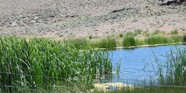 Image 2: 2024-06-18 11.18.01