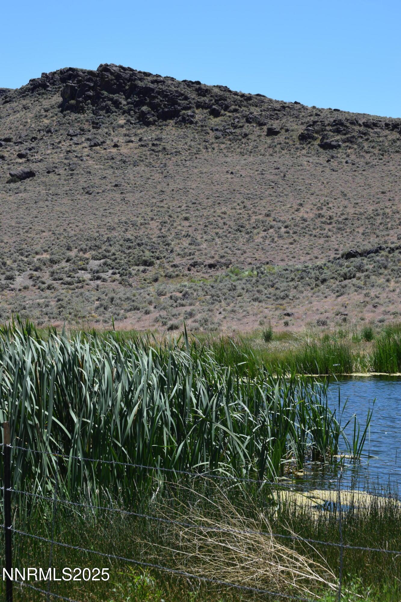 Image 3: 2024-06-18 11.18.14
