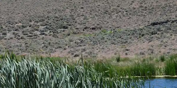 Image 3: 2024-06-18 11.18.14