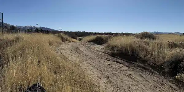 Image 3: 3