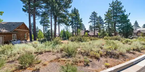Image 4: 1-web-or-mls-0X3A0771
