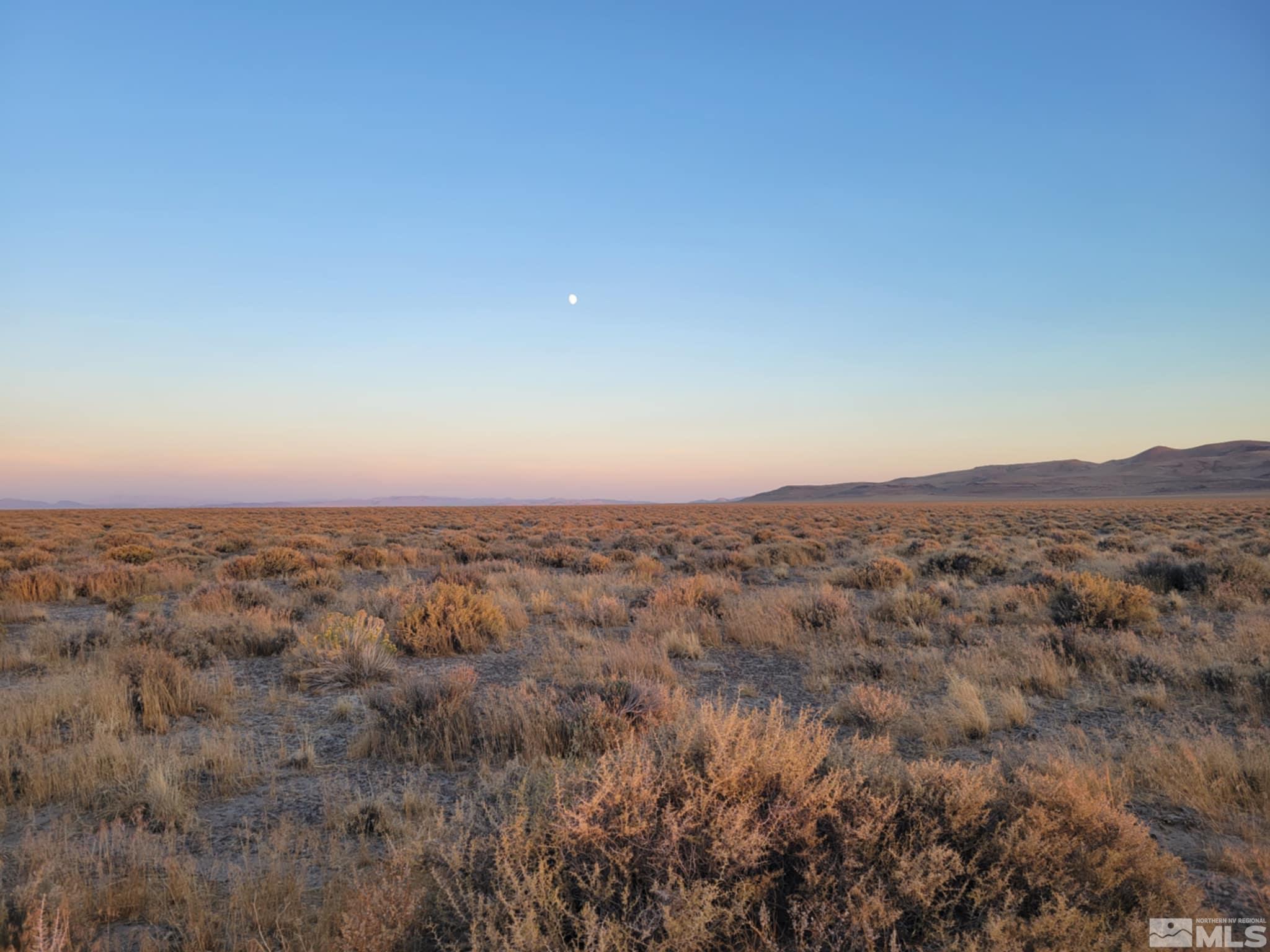 Image 3: Photo 3