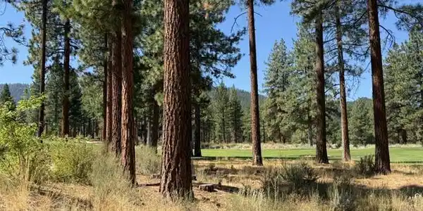 Image 2: Golf Course View