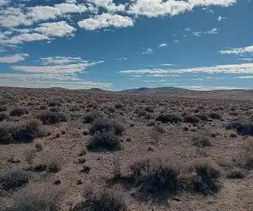 Image 2: 20260123224757566589000000-o