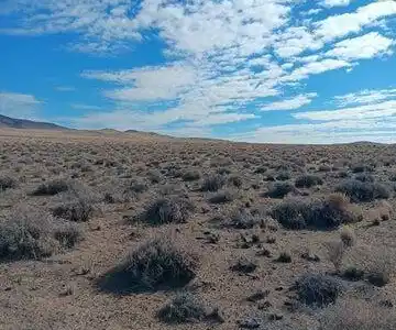 Image 3: 20260123224807946941000000-o