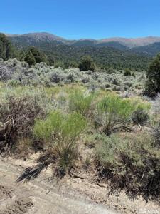 tbd El Dorado Canyon