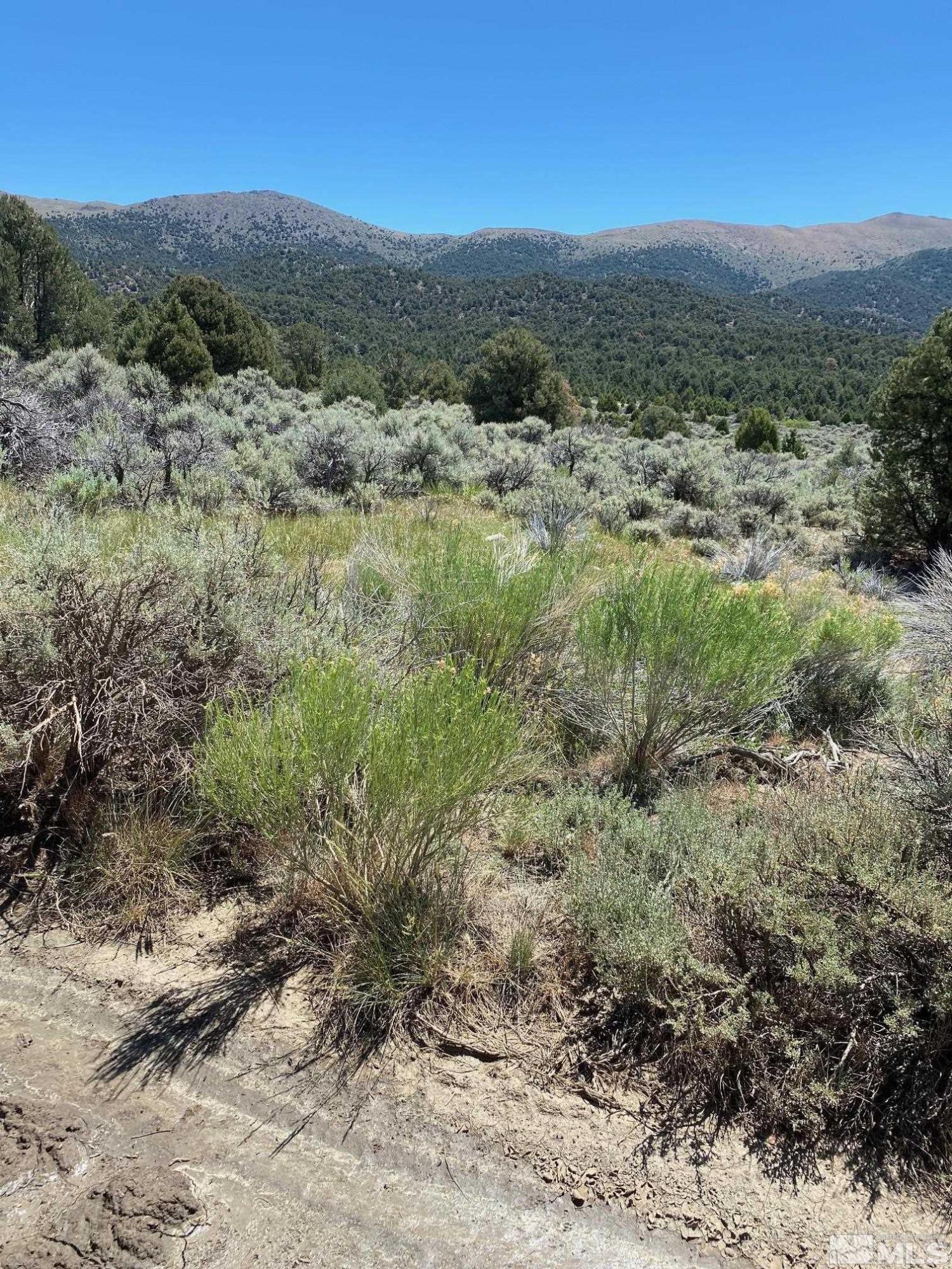 Image 1: Photo 1