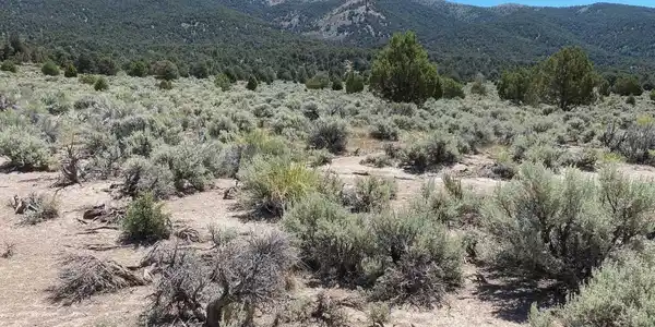Image 3: Photo 3