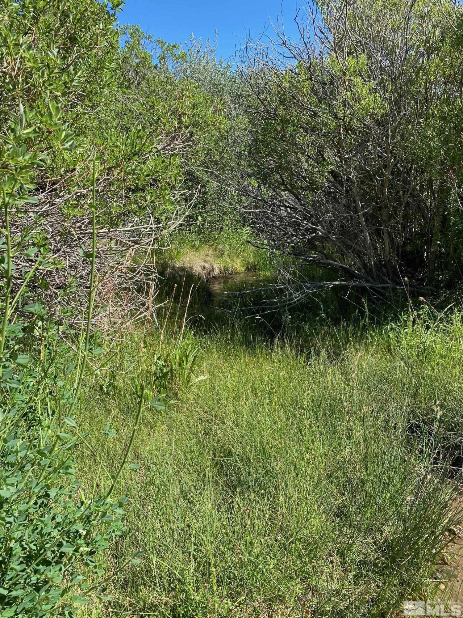 Image 2: Photo 2
