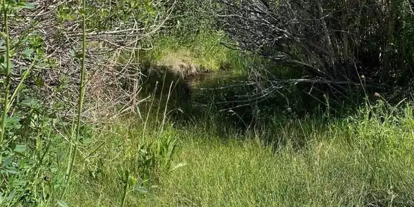 Image 2: Photo 2
