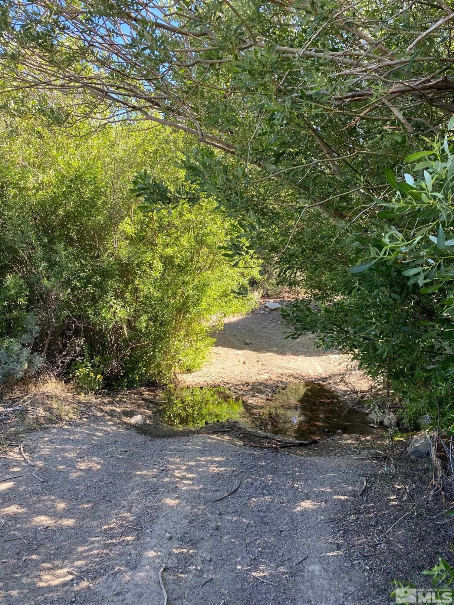 Image 3: Photo 3